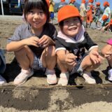 だいこんの種まき