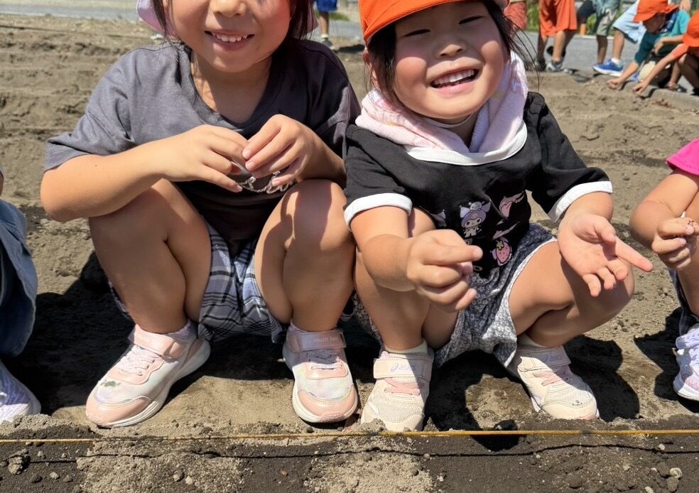 だいこんの種まき